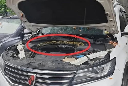 汽车水管有多少条 汽车水管有多少条